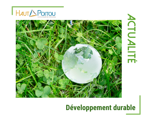 Visuel sur le développement durable avec une planète en verre posée sur de l’herbe, accompagné du logo de la communauté de communes Haut-Poitou.