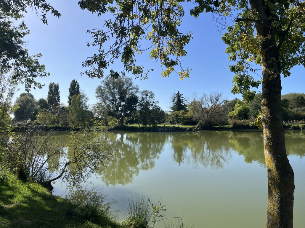 étangs de saint martin