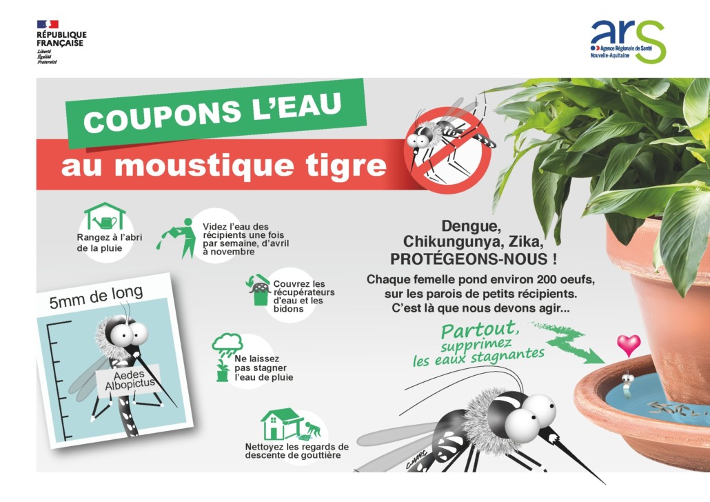 Images reprenant les conseils pour couper l'eau au moustique tigre. Dengue,
Chikungunya, Zika,
PROTÉGEONS-NOUS ! Chaque femelle pond environ 200 oeufs,
sur les parois de petits récipients.
C’est là que nous devons agir... Partout,
supprimez
les eaux stagnantes. Ranger les récipients style arrosoir à l'abri. Vider l'eau de ces contenants 1 fois par semaine d'avil à novembre. Couvrez les récupérateurs d'eau et les bidons. Ne laissez pas stagner l'eau de pluie. Nettoyez les regards de descente de gouttière.