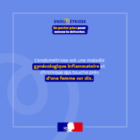 Affiche d’information sur l’endométriose précisant qu’il s’agit d’une maladie gynécologique inflammatoire et chronique, qui touche près d’une femme sur dix. Message : « En parler plus pour mieux la détecter ». Logo du gouvernement.